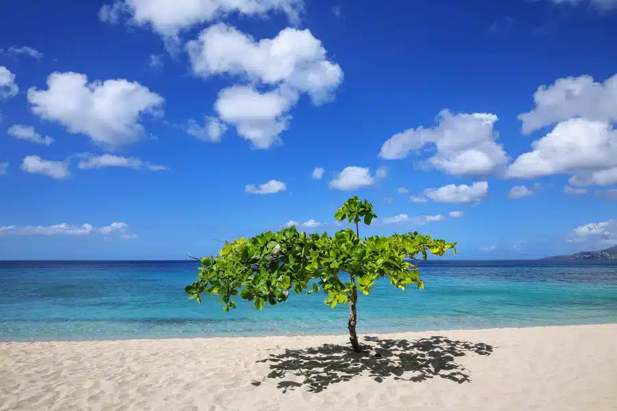 Grenada visa free travel countries