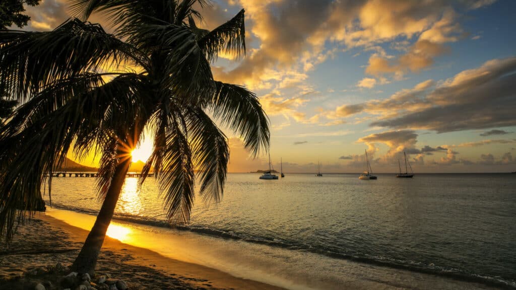 15 Key Benefits of Grenada Passport Pros & Cons of Grenadian