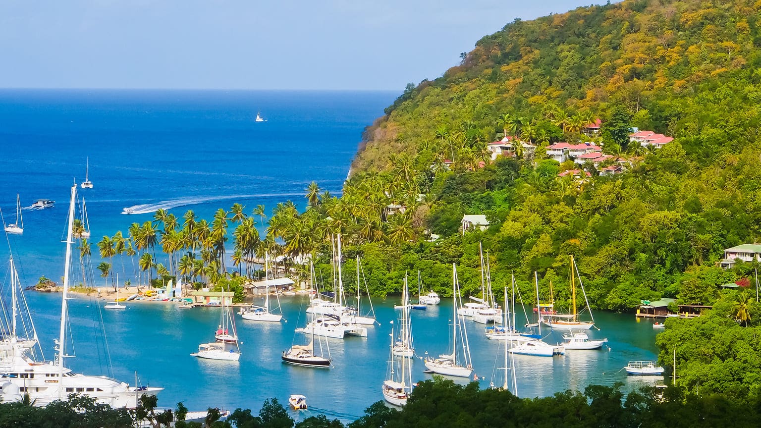 How to renew St Lucia passport